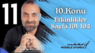 Etkinlikler 11. Sınıf Biyoloji Sayfa 101-104 | Maarif Model Dr. Biyoloji