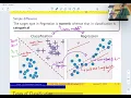 Lecture 5 Binary Classification and Classification Metrics