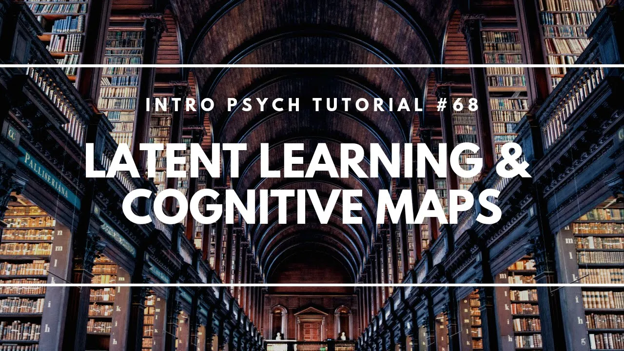 Latent Learning & Cognitive Maps (Intro Psych Tutorial #68)