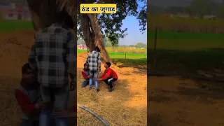                                                دندنها