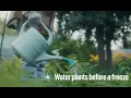 Protecting your plants in freezing weather
