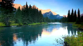 Calm Mountain River Flowing In Elk Valley 4k Relaxing River Sounds Nature White Noise 10 Hours 