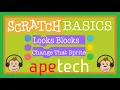 Scratch Tutorial Explore Look Blocks