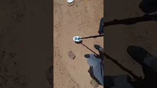 Gold Monster 1000 وحش الذهب 