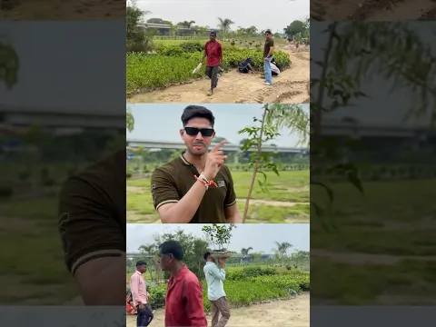 🛑 1st SUB = 1 TREE 🌳 | The Trees We Plant This Monsoon Matter 🌧️☀️ #shorts #flora #explore #