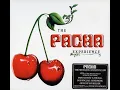 Download Lagu The Pacha Experience cd3 (2006)