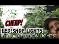 Cheap Grow Lights LED Shop Light RESULTS