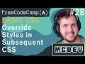 Override Styles in Subsequent CSS Basic CSS Solution Overview