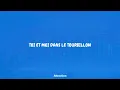 Sébastien Tellier - Attraction (Lyrics)