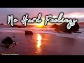 Avett Brothers No Hard Feelings- Visualizer