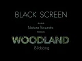 Lagu Forest Birds Chirping/Singing Nature Sounds Black Screen-Dark Screen-Johnnie Lawson Sleeping Sound