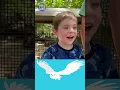 Wild Kratts Name That Creature PBS KIDS