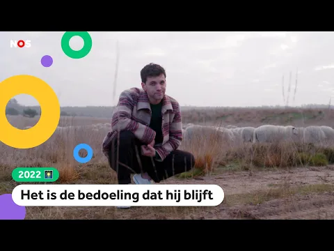Download MP3 Wat is er aan de hand met de wolf in Nederland?