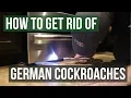 How to Get Rid of German Cockroaches 4 Simple Steps