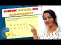 Python Program to Check Vowel or Consonant Python Practical Exam