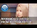 Lagu MAMAMOO started from the bottom to the top [Happy Together/2019.11.28]