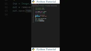 Remove Image Backgrounds with Python Python Tutorial