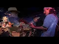 David Nelson Band - Wicked Messenger
