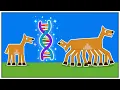I 100 Solved Horse Racing Using CRISPR and a Broken Moral Compass
