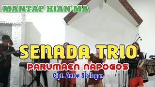 Download Lagu Batak Populer 2020 || Senada Trio - Parumaen Napogos Cipt. Anton Siallagan MP3