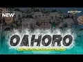 Download Lagu DJ OAHORO PARTY JEDAG JEDUG MIDEL KRAK KRAK VIRAL SAAT INI