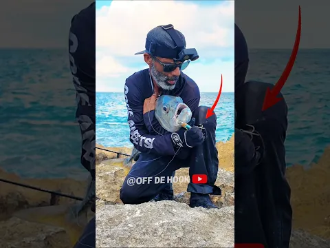 🔥 BERMUDA ROCK ROULETTE
