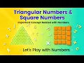 Triangular Numbers Square Numbers Play with Numbers Maths Fun for Students