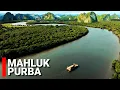 Download Lagu MEREKA TIDAK MENYANGKA JIKA MAHLUK BUAS INI BERADA DI PEDALAMAN HUTAN VIETNAM !!