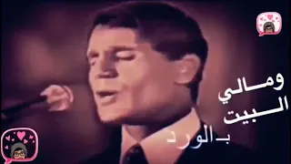 وفضلت مستني بآمالي حالات واتس عبد الحليم يااااه علي الاحساس دندنها