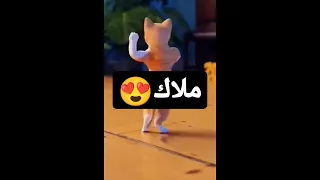 ملاك ملاك ملاك الحلوة ملاك ملاك 