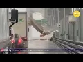 You may never drive on the Verrazzano Bridge again after watching this