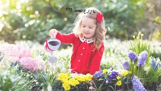 يا زارع الصبر    كلمات و اداء نصير بويا     دندنها