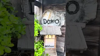 Domo Japanese Country Food Restaurant-near Downtown Denver