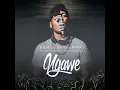 Ngawe