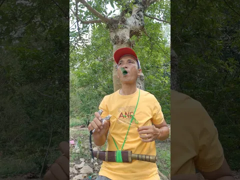 Primitive Survival: Calling Birds #entertainment #birdsounds #shorts #survival