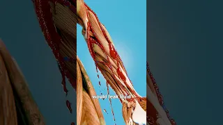 What Happens If You Lose All Your Skin Surgeon Reacts