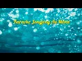 Download Lagu karaoke jongjong au manatap_Axido trio