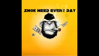 Download Smok Weed Everyday 2023 ( LAY Remix ) - Snoop Dogg MP3