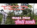Lagu SUARA PIKAT BURUNG KUTILANG ANTI ZONK, PALINGBANYAK DICARI