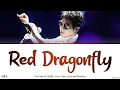 Lagu Cho Yong Pil (조용필) - Red Dragonfly (고추잠자리) Lyrics [Color Coded Han/Rom/Eng]