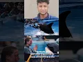 Download Lagu Ek Dolphin ne apne malkin ko mar diya..#viralvideo#shortsvideo#video#emotionalvideo#shortsviral#