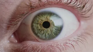 saycet malaparte official video 
