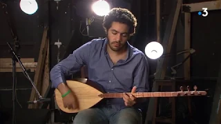                            دندنها