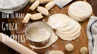 Gyoza / Dumpling 餃子 | Japanese food recipes. 