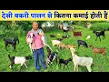 Lagu देसी बकरी पालन में कितना फायदा है | Bakri palan ka tarika | Goat farming