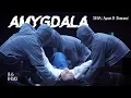 Download Lagu [4K] 230806 AMYGDALA | ENG SUBS 🔥 DDAY FINAL IN SEOUL DAY 3 방탄소년단 슈가 직캠