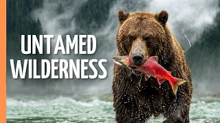 British Columbia: Land of the Grizzly Bear | Full Documentary