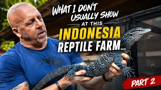 what i don t usually show at this indonesia reptile farm 
