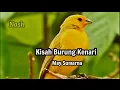 Download Lagu Lirik Kisah Burung Kenari. May Sumarna.