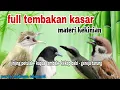 Download Lagu Masteran Tembakan Kasar Jinjing petulak | Kapas tembak | Kekep babi | Gereja tarung